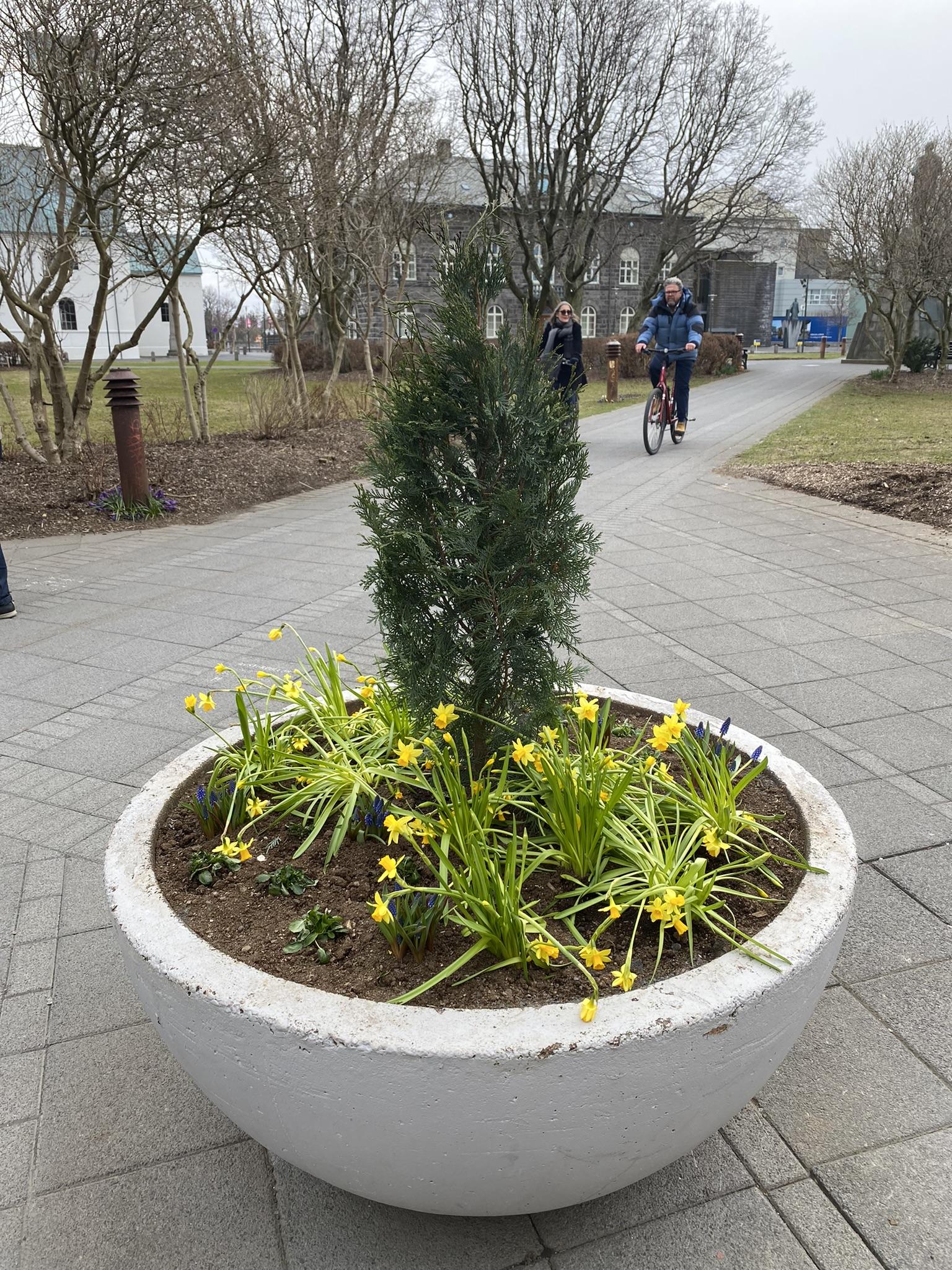 Páskaskreytingar í keri í miðborginni.