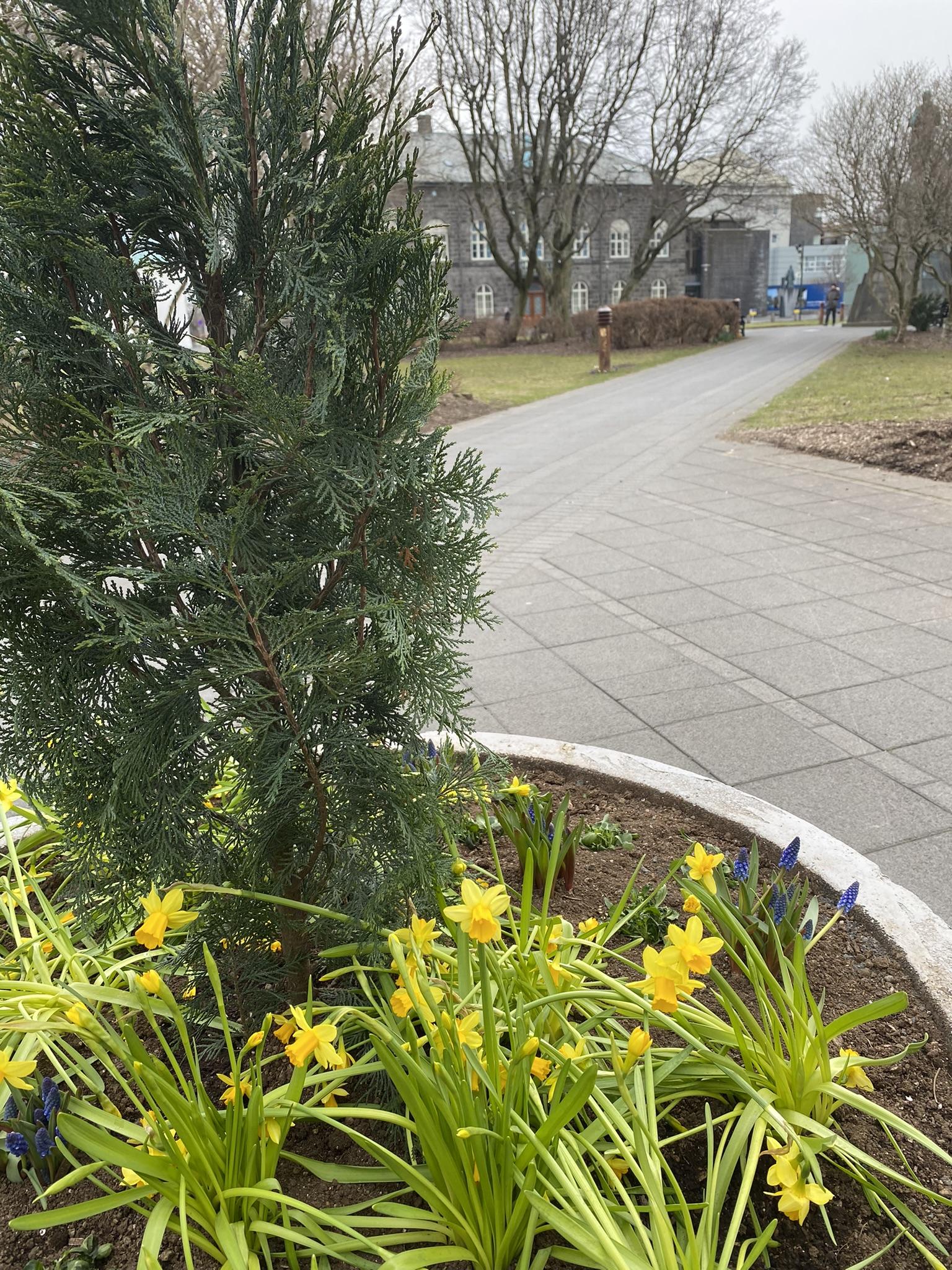 Páskaskreytingar í keri í miðborginni.