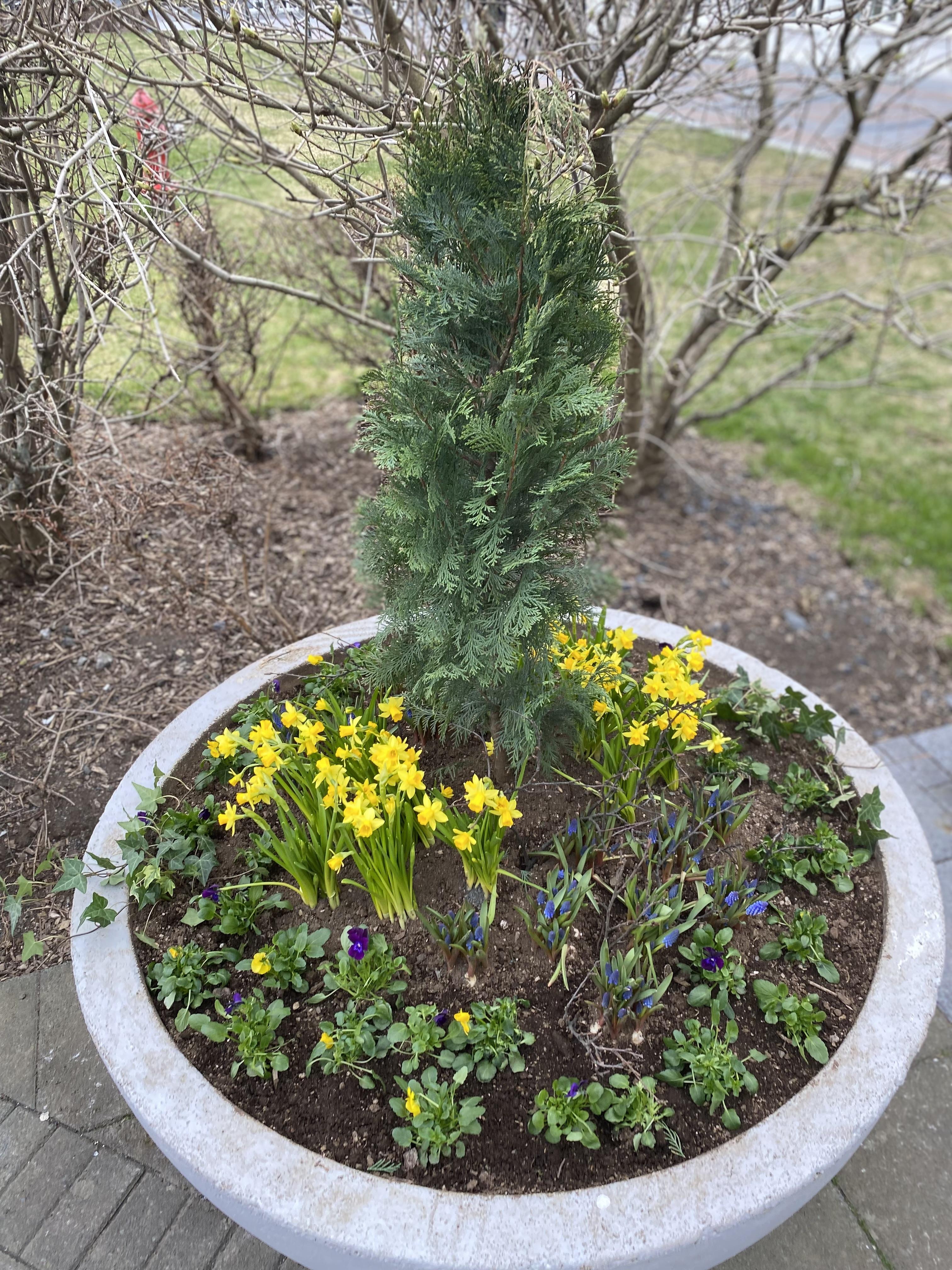 Páskaskreytingar í keri í miðborginni.