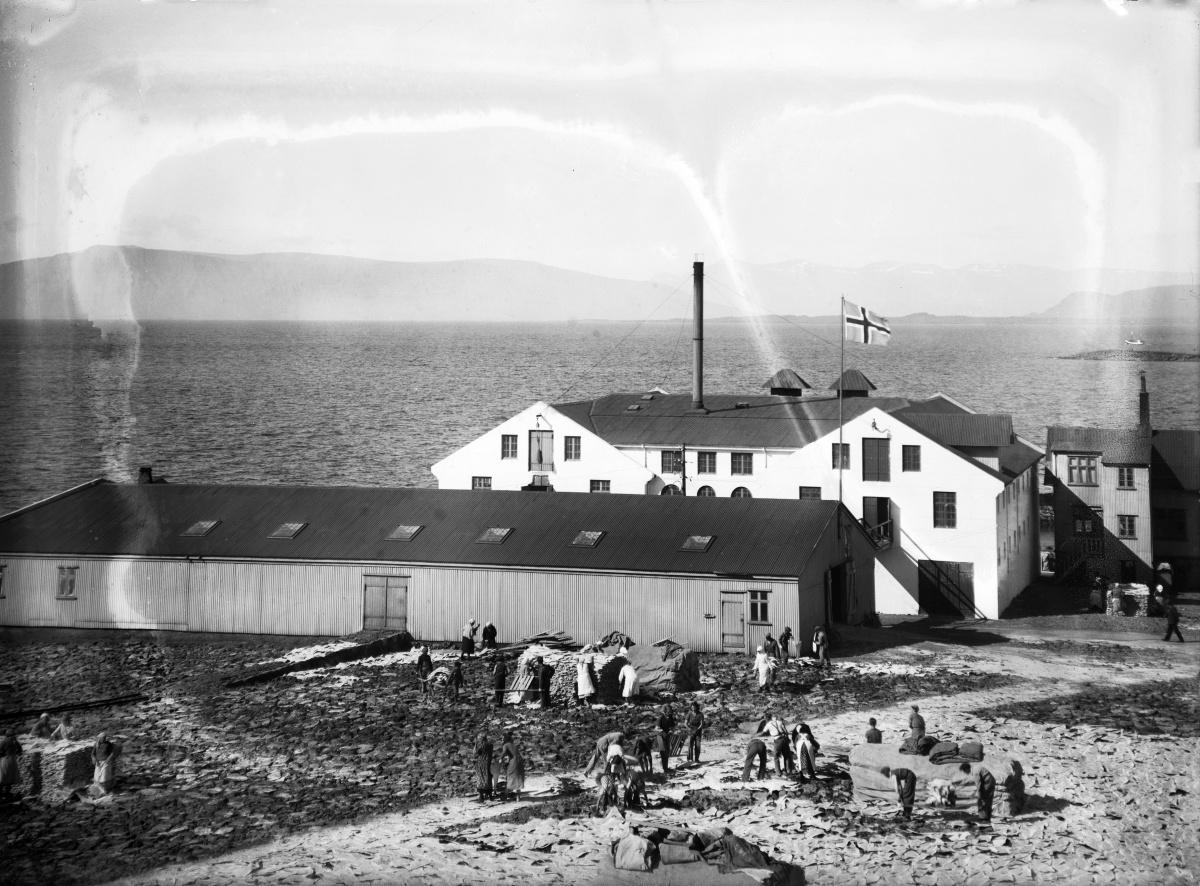 Starfsfólk við saltfiskbreiðslu á stakkastæði Alliance við Mýrargötu um 1930. Ljósmyndari Magnús Ólafsson. Ljósmynd frá Ljósmyndasafni Reykjavíkur. 