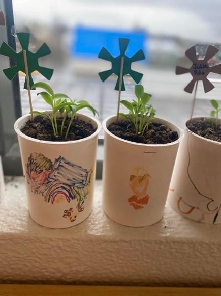 Gróðurpottar í leikskólanum Hraunborg