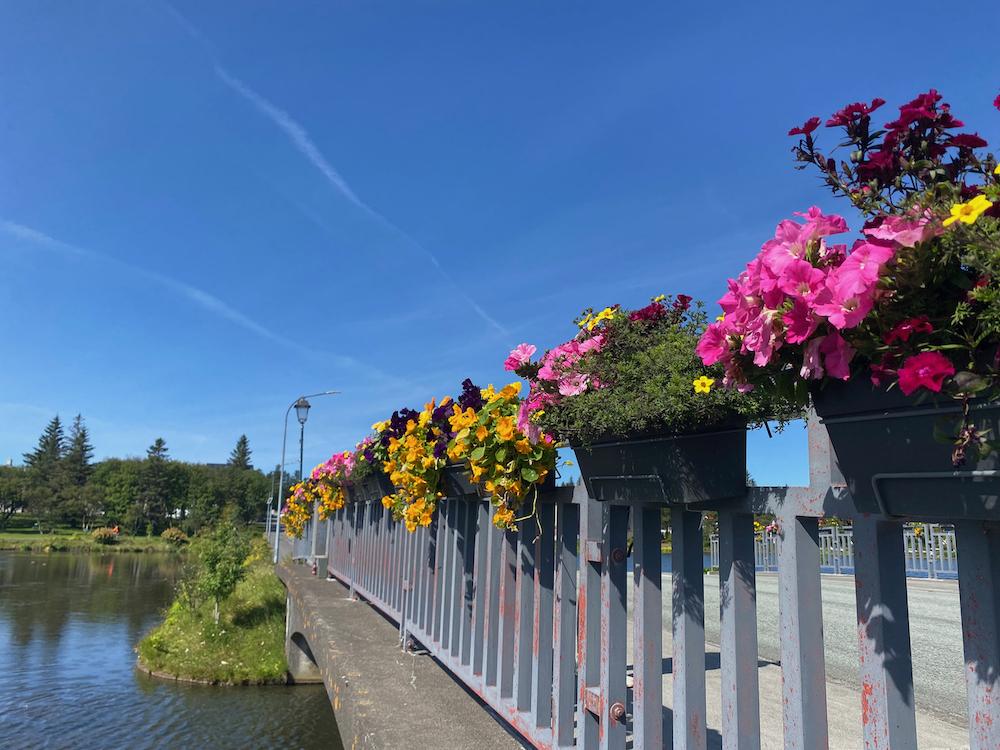 Blóm í kerjum á brú.