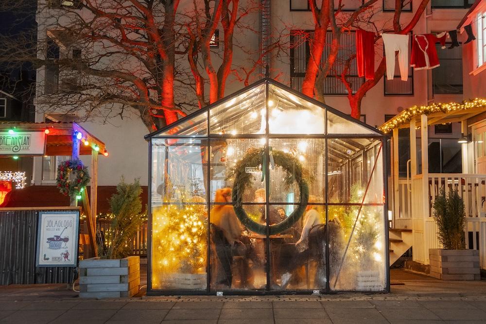 Jólaskraut og gróðurhús.