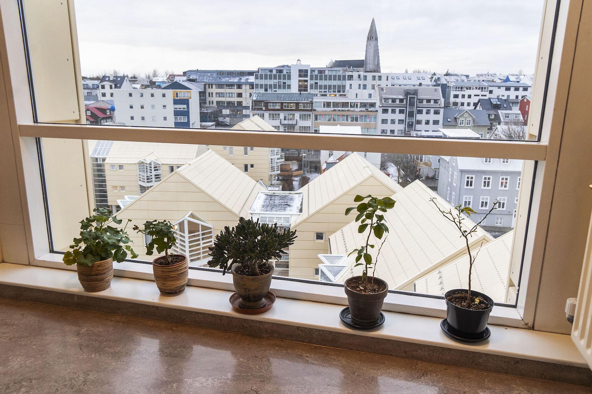 Plöntur í stórum glugga á Lindargötu, útsýni yfir Hallgrímskirkju og miðborg