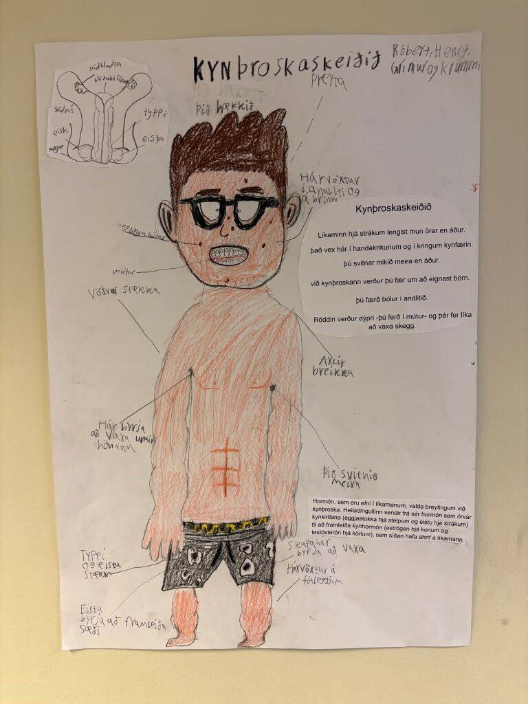 Mynd teiknuð af nemenda í tilefni Viku6. Myndin er af strák á kynþroskaskeiðinu.