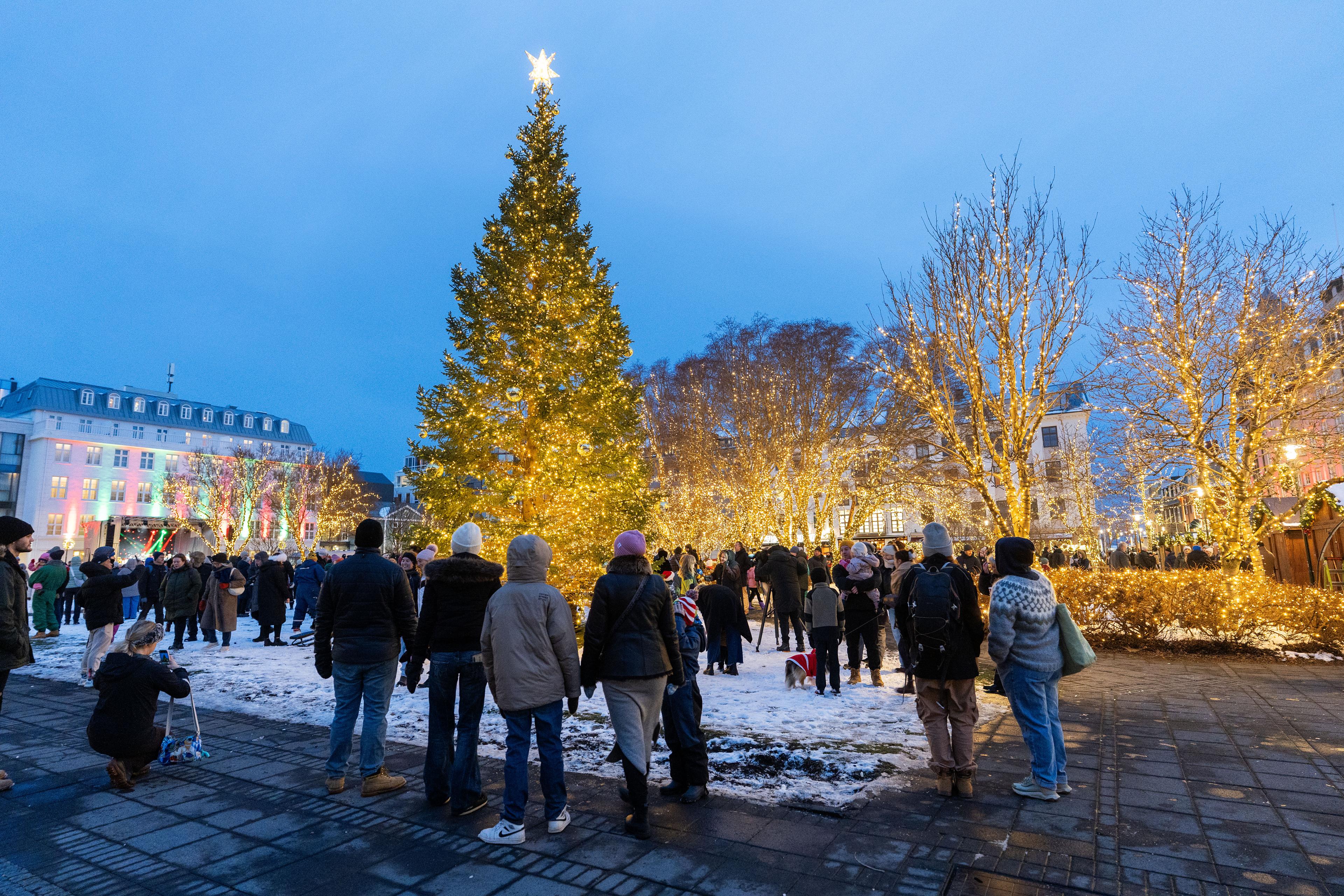 People stand and admire the Christmas tree at Austurvöllur.