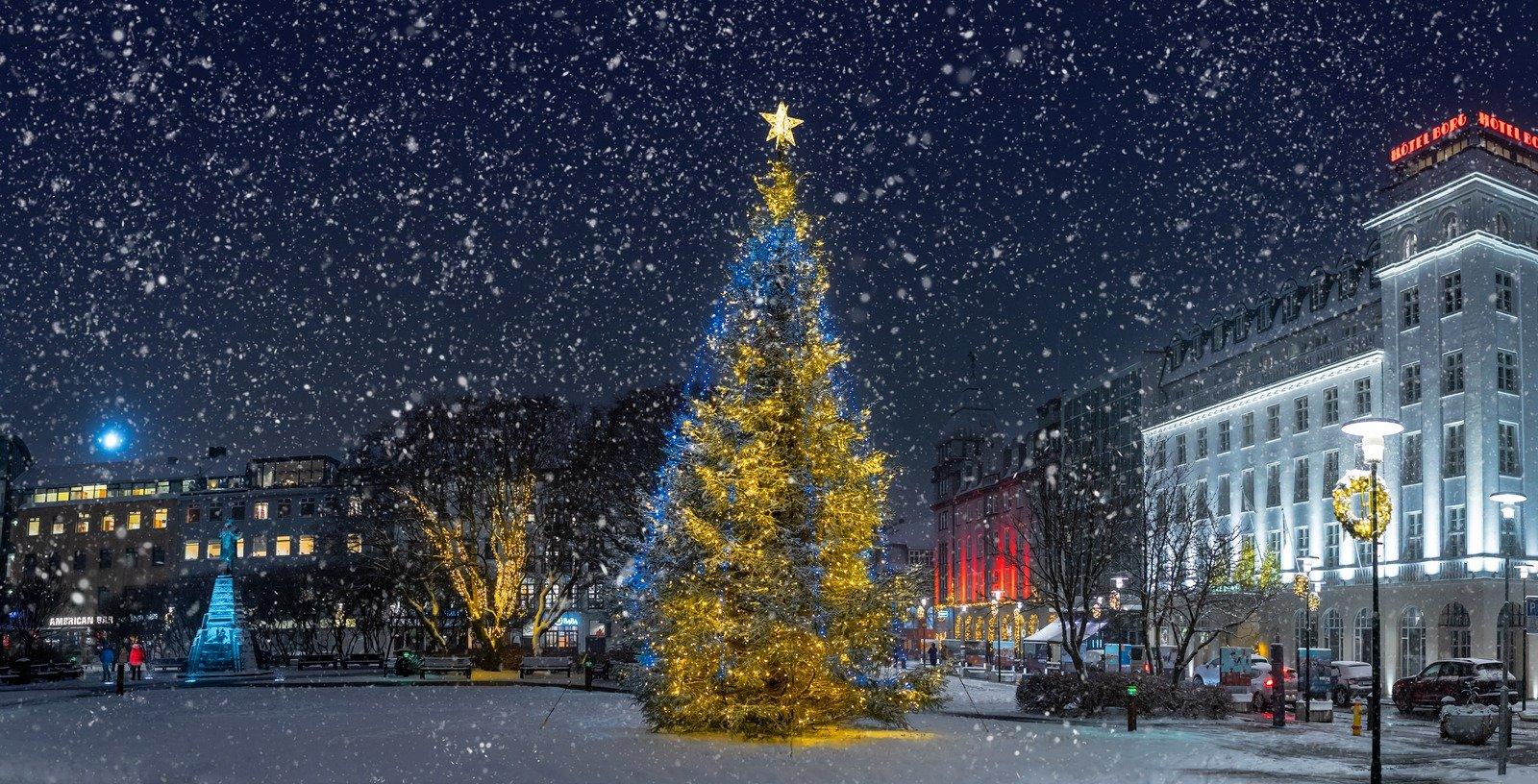 Christmas lights lit on the Oslo Tree