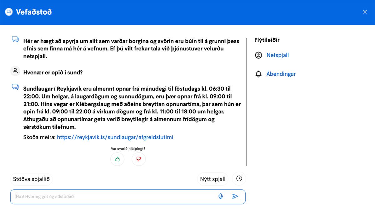 Screenshot of conversation with web assistant.