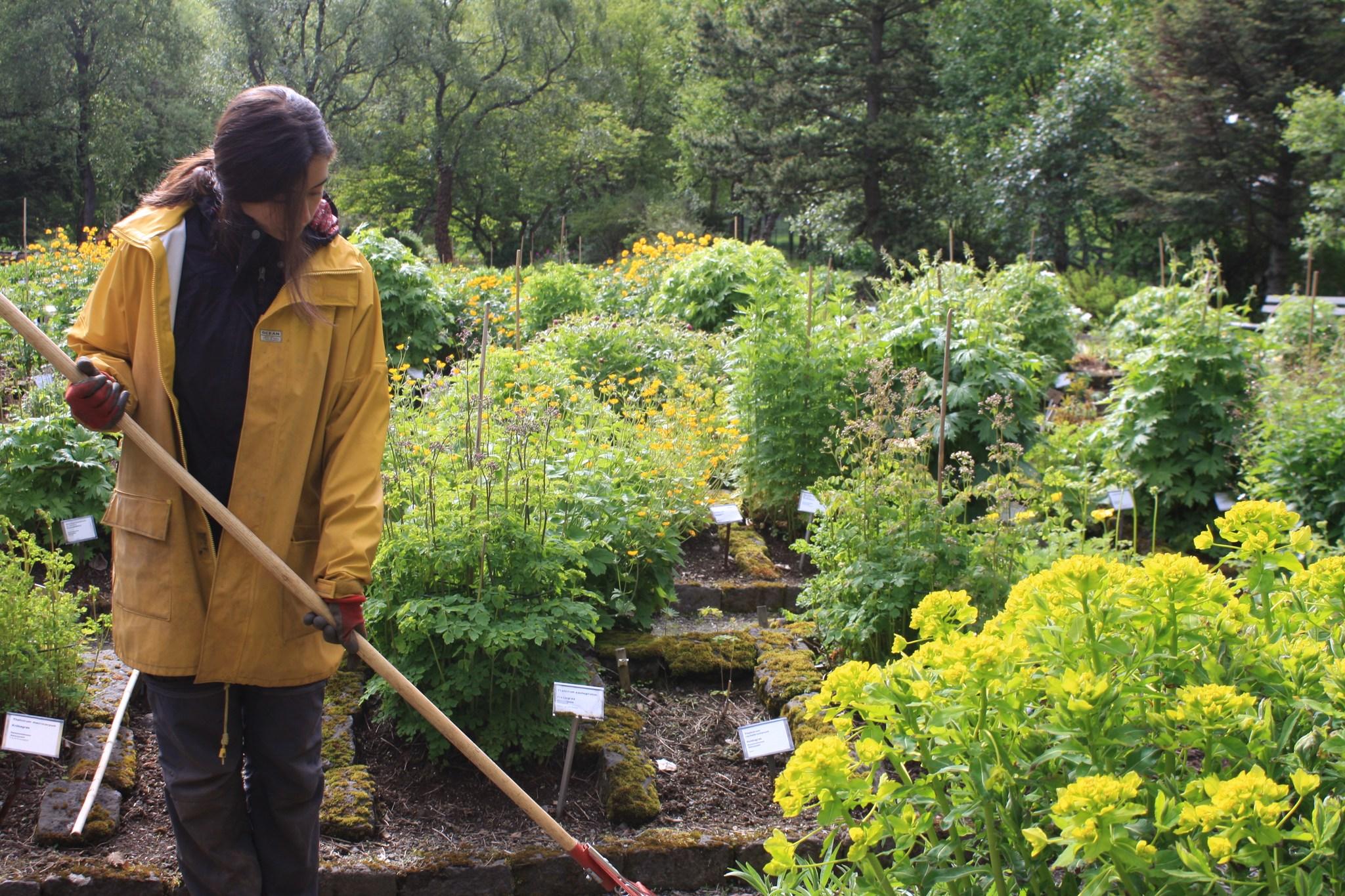 Mynd af sumarstarfsmanni