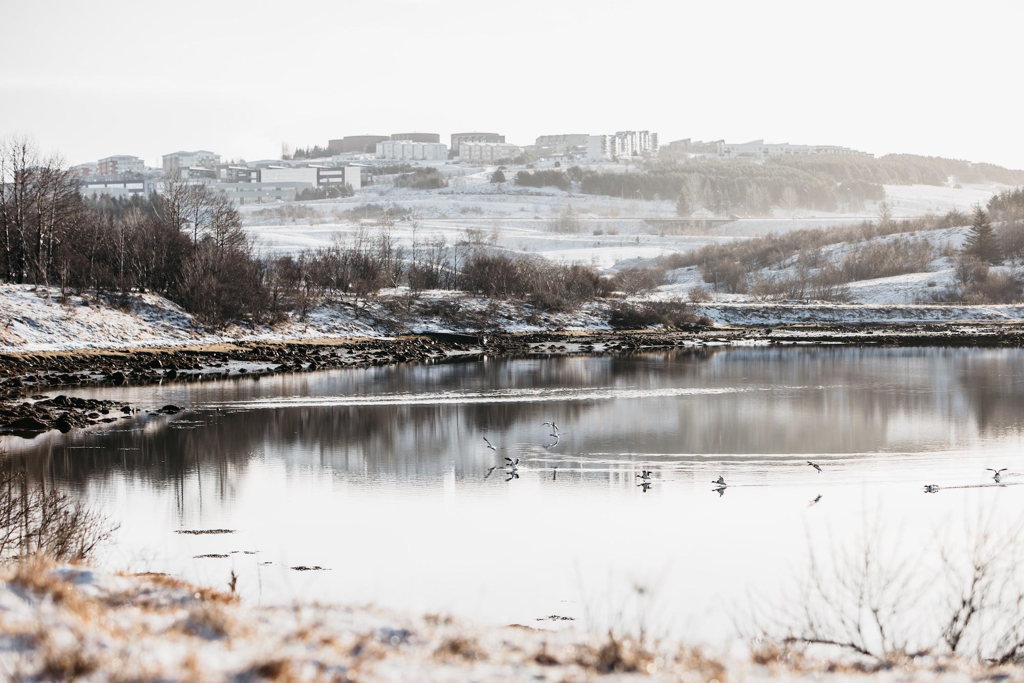 Landslag, Grafarvogur.