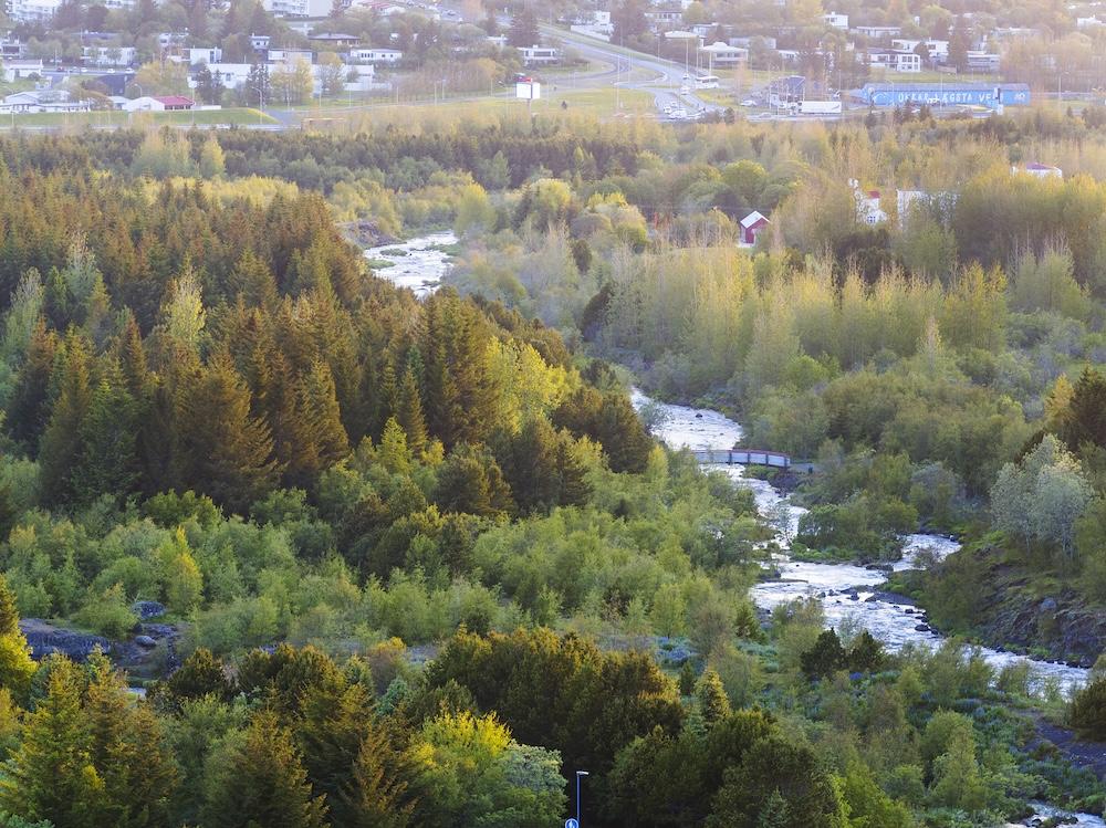 Loftmynd af trjám og á.