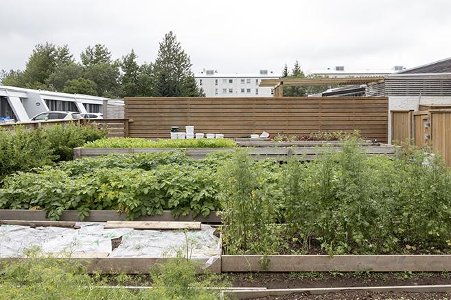 Mynd - Yrsufell í Breiðholti