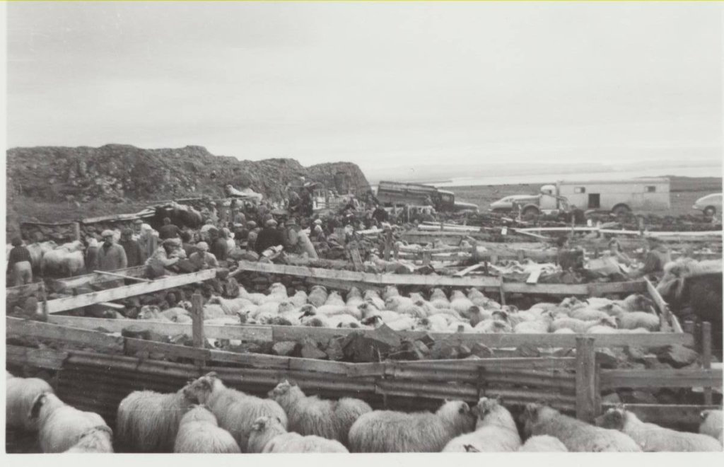 Arnarhamarsrétt á sjötta áratug síðustu aldar.