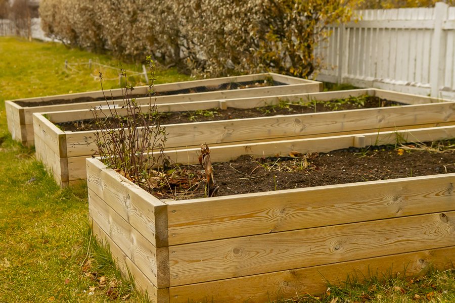 Garden beds on Klettaborg's grounds.