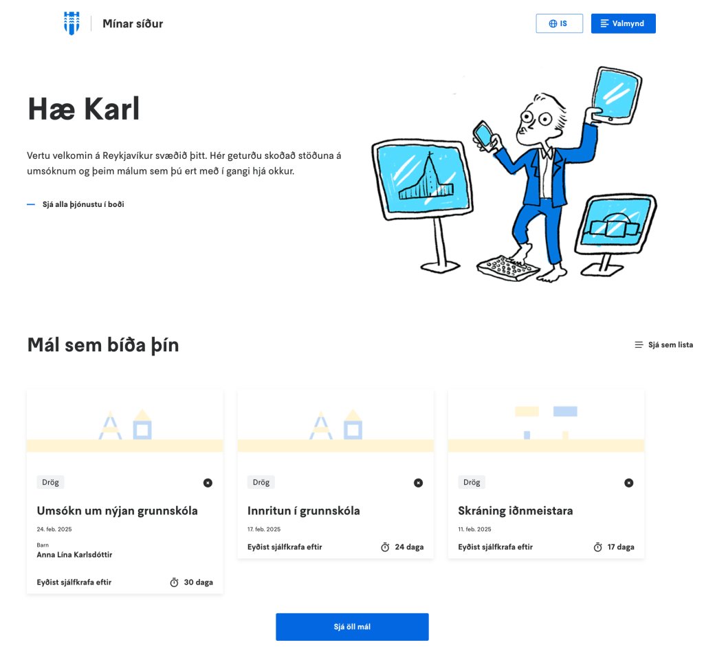 Mynd af lendingarsíðu Minna síðna