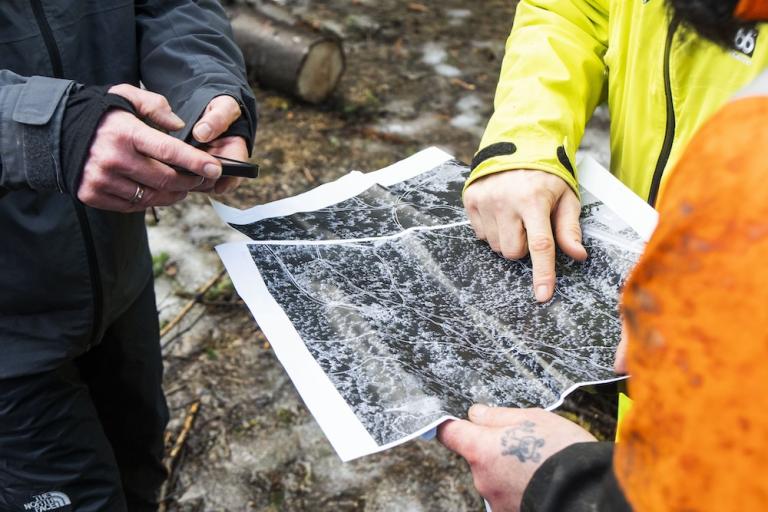 Hands visible holding a map showing tree locations