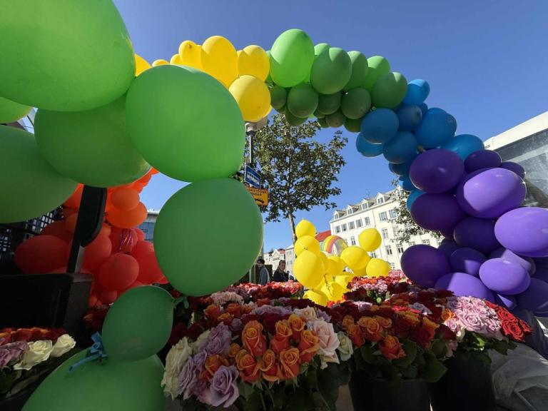 Decorated Reykjavík City vehicle