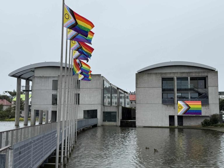 Large Project Pride flag on the gable of Reykjavík City Hall.