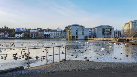 Tjörnin og Ráðhús Reykjavíkur