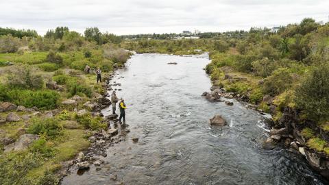 Elliðaárnar og gróður.