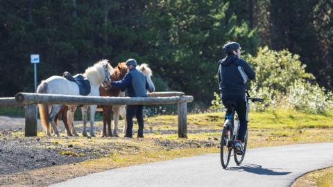 Frá útivistarsvæði við Rauðavatn í ágúst