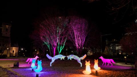 Ljóslistaverk á Vetrarhátíð