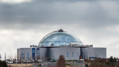 Perlan í Öskjuhlíð, grár himinn, smá tré í forgrunni