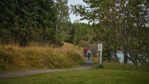 Reykjavík's Heiðmörk