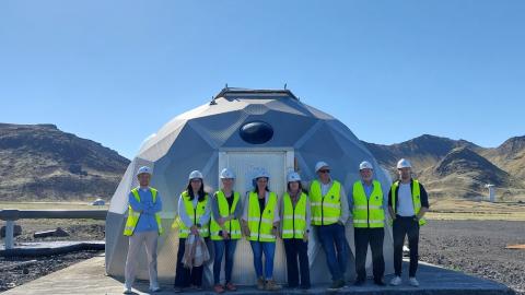 people in a row wearing yellow vests