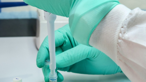 Störf í lífvísindum