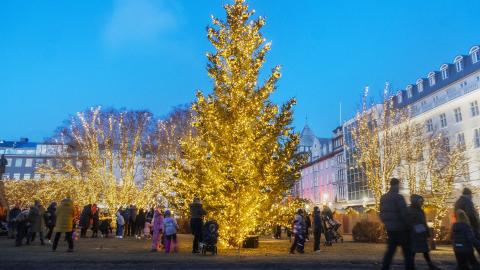 The Oslo Christmas Tree at Austurvöllur lit up. Taken from the parliament building, silhouetted, people around the tree
