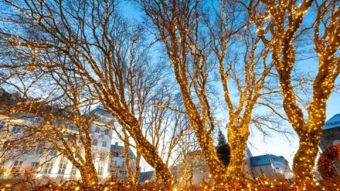 Austurvöllur í jólabúningi