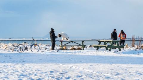 At Ægisíða: a bicycle, a person with a dog, and people chatting.