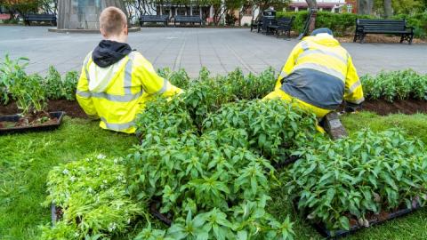 Sumarstarfsfólk að störfum á Austurvelli