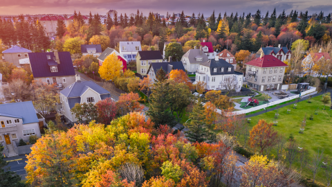 Loftmynd af gróðri og húsum í miðborg Reykjavíkur.