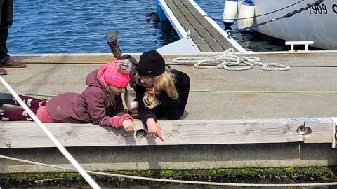 Mynd af börnum á bryggju.