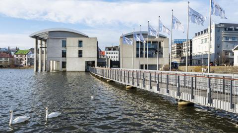 A view of City Hall from the end of the bridge, positioned to its left. Two swans appear in the foreground, with the bridge and flags visible to the right.