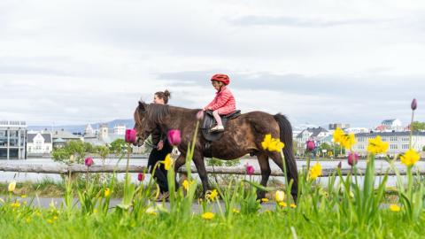 A child being led on horseback by the pond.