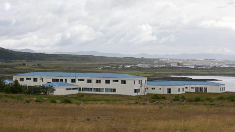 Víðines