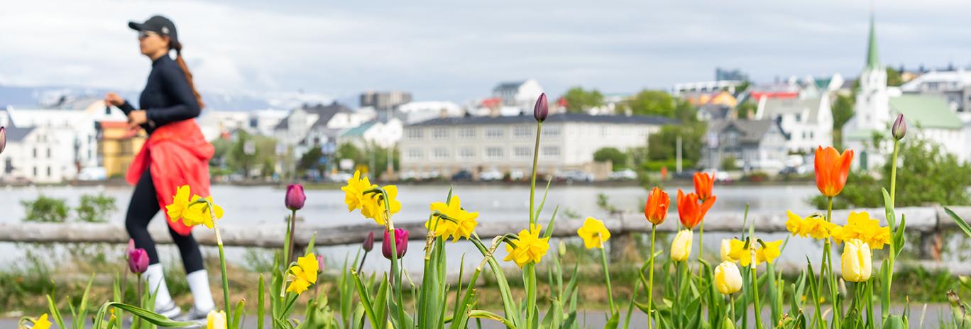 Kona skokkar meðfram Tjörninni með túlípana í forgrunni.