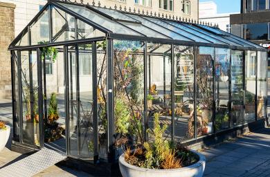 Greenhouse at Lækjartorg.