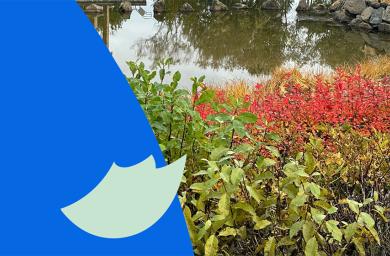Fall break in the city Oct. 22-26